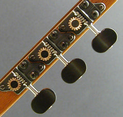 Individual with Ebony Knob and Ebony Dot